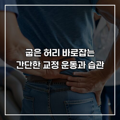 굽은 허리 바로잡는 간단한 교정 운동과 습관